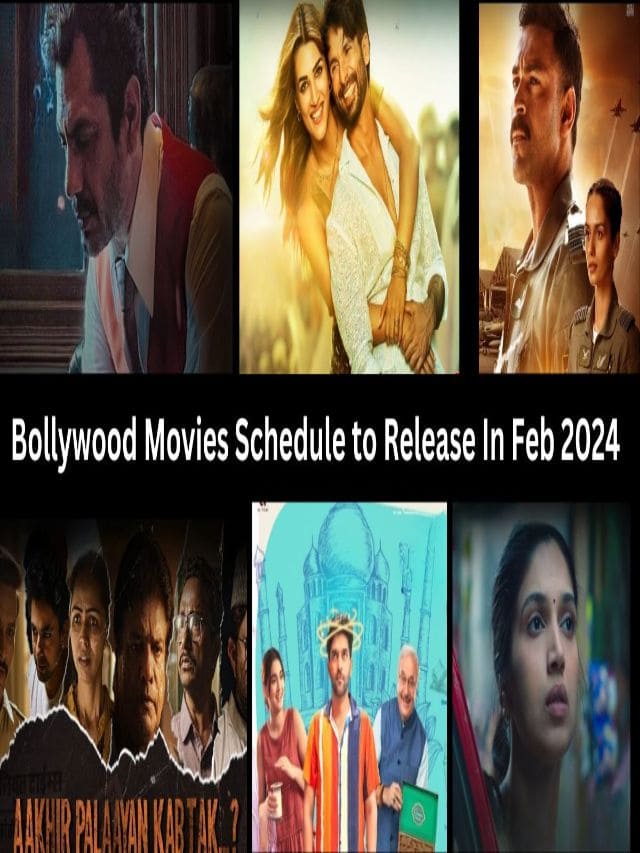 Bollywood Movies Schedule to Release In Feb